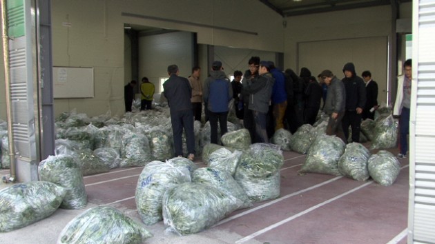 1_11365584139.jpg 1_11365584139.jpg