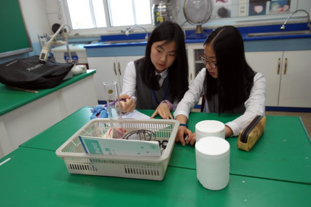 1_11368678990.jpg 1_11368678990.jpg