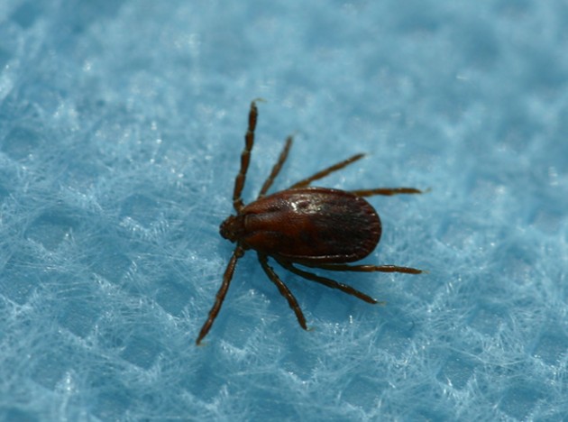 1_11369619164.jpg 1_11369619164.jpg