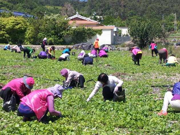20130521_주부농산물_구매단2.jpg 20130521_주부농산물_구매단2.jpg