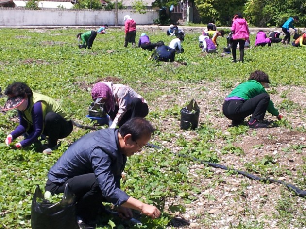 20130521_주부농산물_구매단3.jpg 20130521_주부농산물_구매단3.jpg