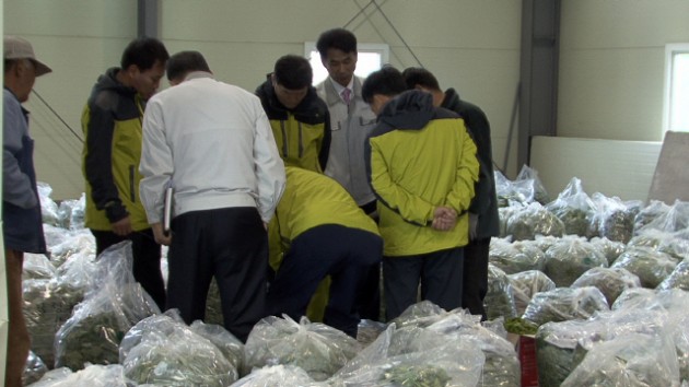 2_11365584144.jpg 2_11365584144.jpg