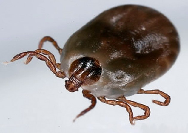 2_11369619281.jpg 2_11369619281.jpg