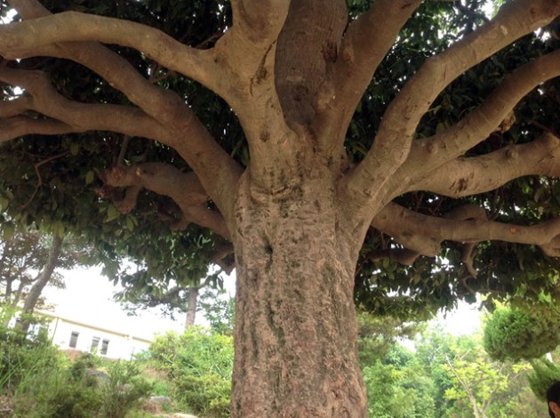 640_11372478336.jpg 640_11372478336.jpg