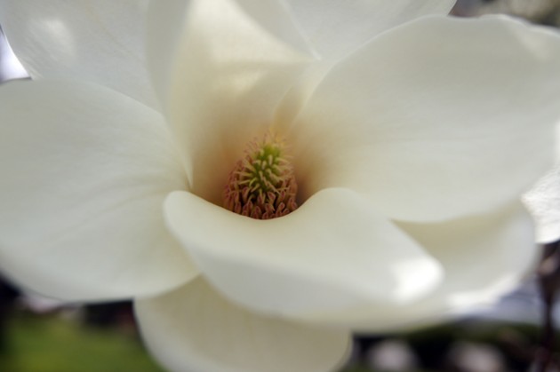 DSC04751640.jpg DSC04751640.jpg