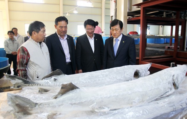 군수1.jpg 군수1.jpg