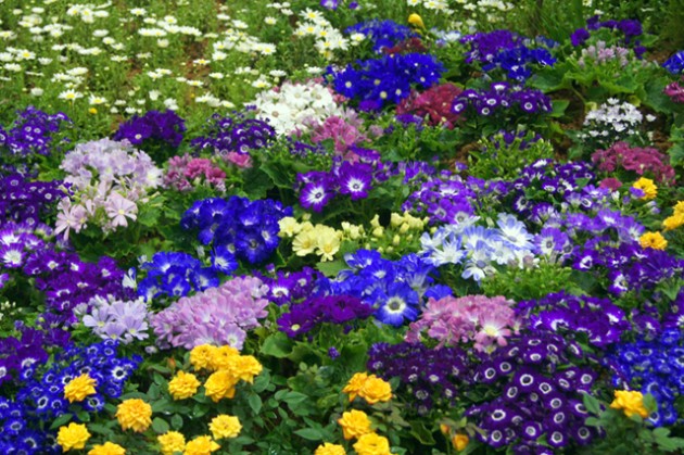 바탕640.jpg 바탕640.jpg