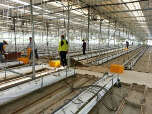 크기변환_1374024842236.jpg 크기변환_1374024842236.jpg