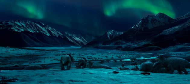 크기변환_Maxwalkingwithdinosaurs3D07.jpg 크기변환_Maxwalkingwithdinosaurs3D07.jpg