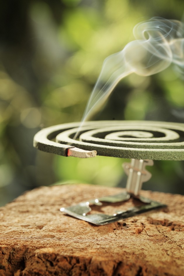 크기변환_twi001t672853.jpg 크기변환_twi001t672853.jpg